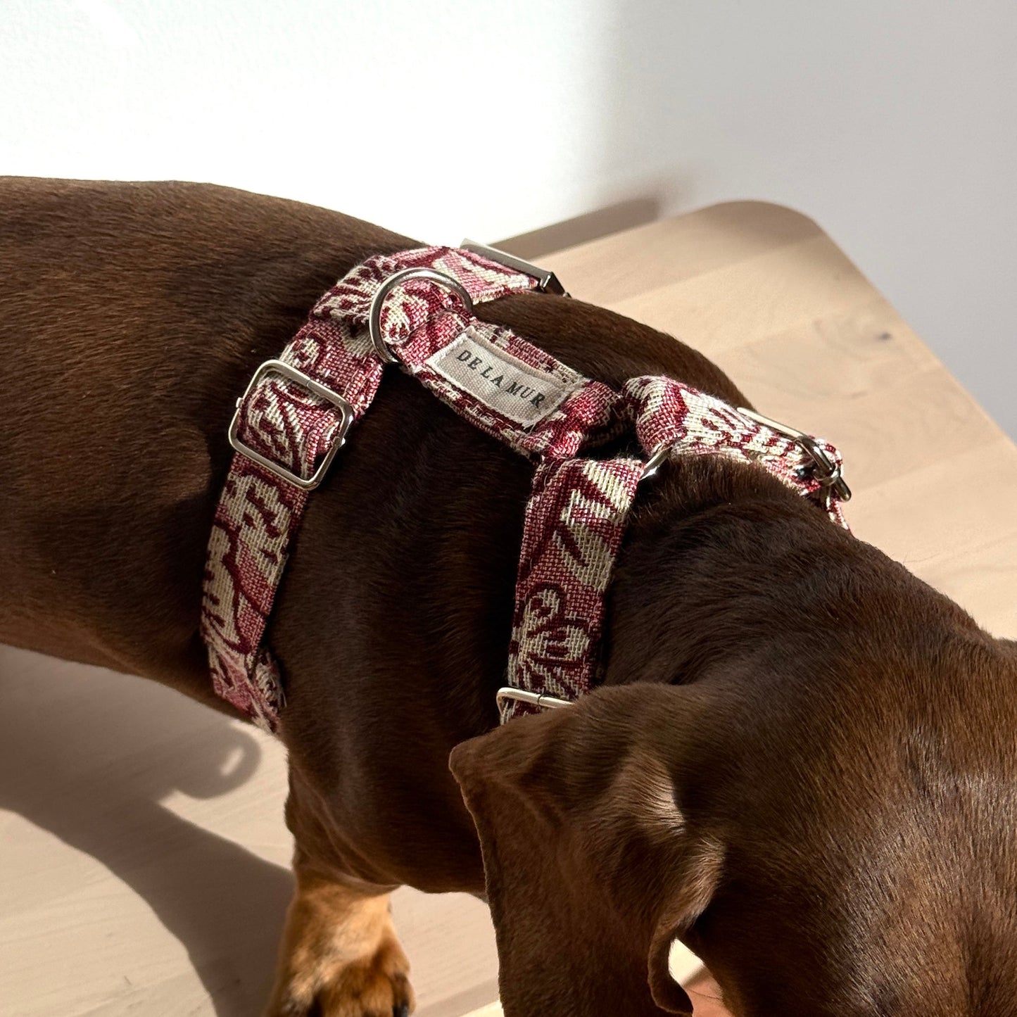 Hondenharnas en riem set CAME